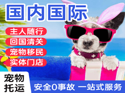 黑河瑷珲空运地址国际宠物托运 【国
